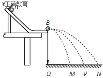 www.xiangpi.com