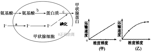 www.xiangpi.com