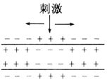 www.xiangpi.com