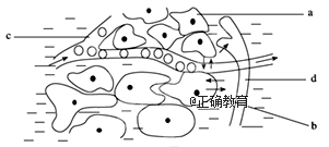 www.xiangpi.com