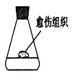 www.xiangpi.com