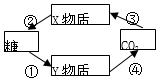 www.xiangpi.com