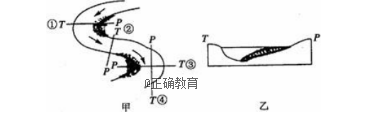 www.xiangpi.com