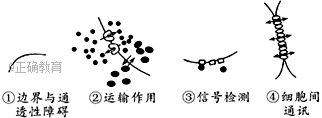 www.xiangpi.com
