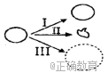 www.xiangpi.com