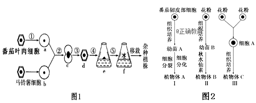 www.xiangpi.com