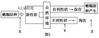 www.xiangpi.com