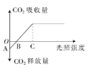 www.xiangpi.com