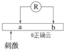 www.xiangpi.com