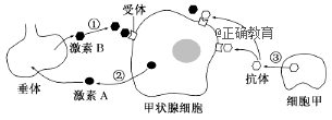 www.xiangpi.com