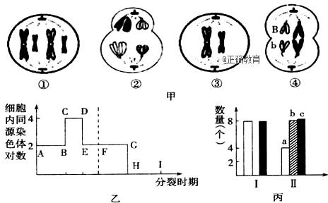 www.xiangpi.com