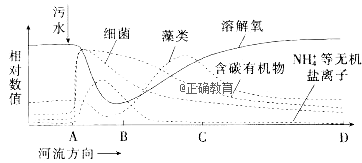 www.xiangpi.com