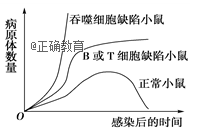 www.xiangpi.com