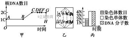 www.xiangpi.com