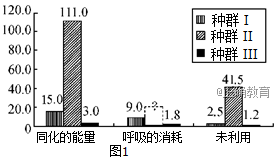 www.xiangpi.com
