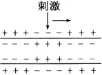 www.xiangpi.com