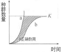www.xiangpi.com