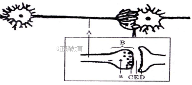 www.xiangpi.com