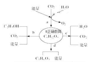 www.xiangpi.com