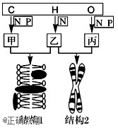 www.xiangpi.com