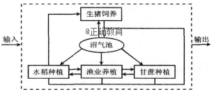 www.xiangpi.com
