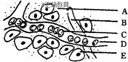 www.xiangpi.com