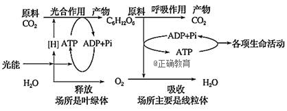 www.xiangpi.com