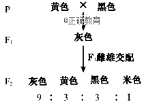 www.xiangpi.com