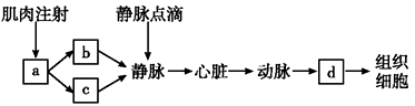 www.xiangpi.com