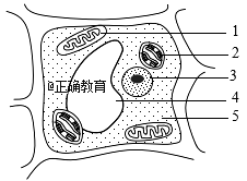 www.xiangpi.com