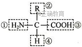 www.xiangpi.com