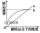 www.xiangpi.com
