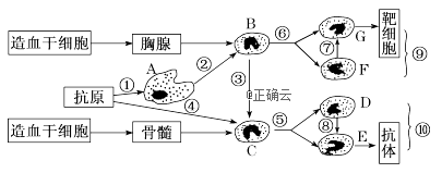 www.xiangpi.com
