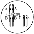 www.xiangpi.com