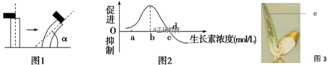 www.xiangpi.com