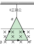 www.xiangpi.com