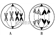 www.xiangpi.com