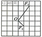 www.xiangpi.com