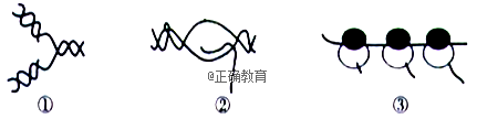 www.xiangpi.com