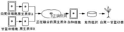 www.xiangpi.com