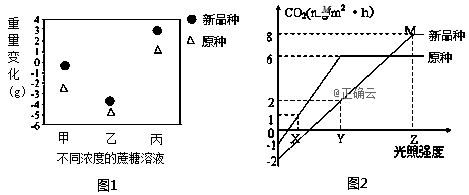 www.xiangpi.com