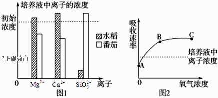 www.xiangpi.com