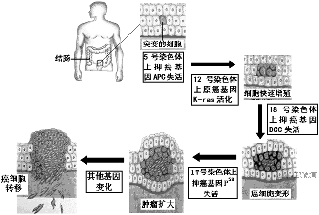 www.xiangpi.com