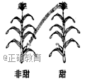 www.xiangpi.com