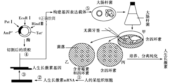www.xiangpi.com