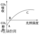 www.xiangpi.com