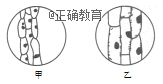 www.xiangpi.com