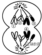 www.xiangpi.com