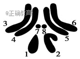 www.xiangpi.com