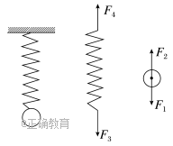 www.xiangpi.com